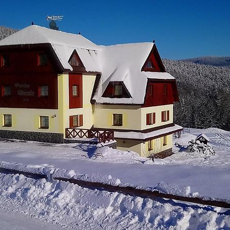 Penzion Martin Janské Lázně Exterior foto
