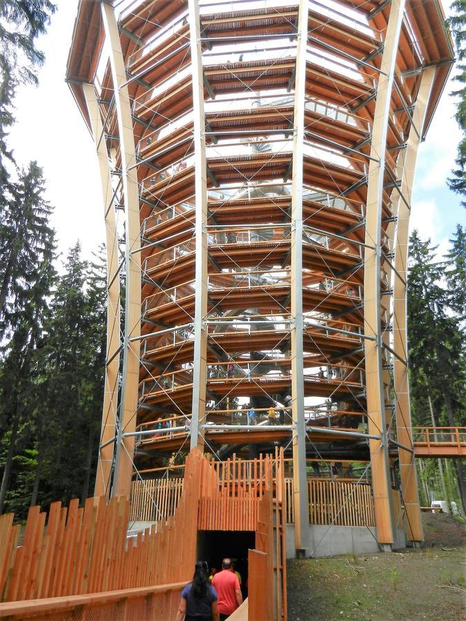 Penzion Martin Janské Lázně Exterior foto